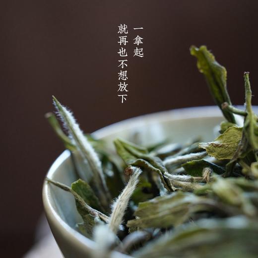 明前特级福字号白牡丹  太姥山北岩老基地出品 福鼎白茶白茶礼盒 商品图4