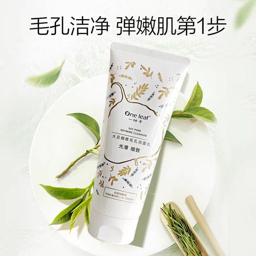 一叶子红石榴/大豆洁面135g 商品图3