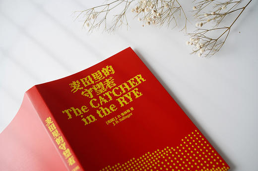 麦田里的守望者 商品图1