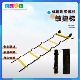 绳梯敏捷梯跳格——体能