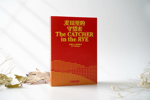 麦田里的守望者 商品图0