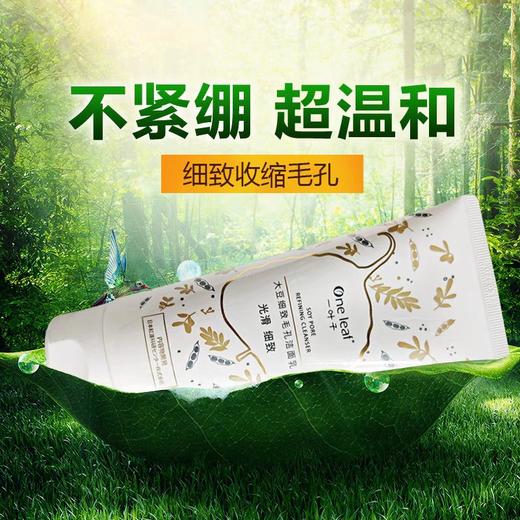 一叶子红石榴/大豆洁面135g 商品图1