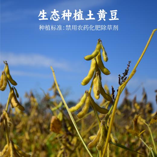 香畴自然农法黄豆 传统土黄豆 1kg/袋 商品图4