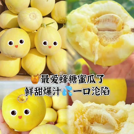 【核心产区脆宝蜂糖•小甜瓜】甜蜜来袭，脆嫩甜爽口！越吃越上瘾，超值秒杀来袭 商品图1