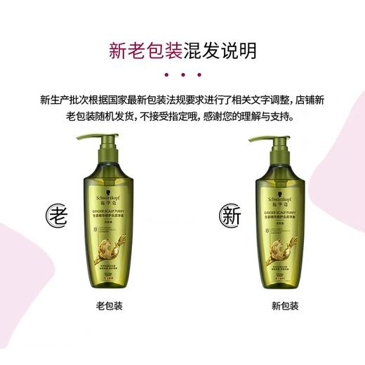 施华蔻生姜精华修护头皮净澈洗发露400ml 商品图2