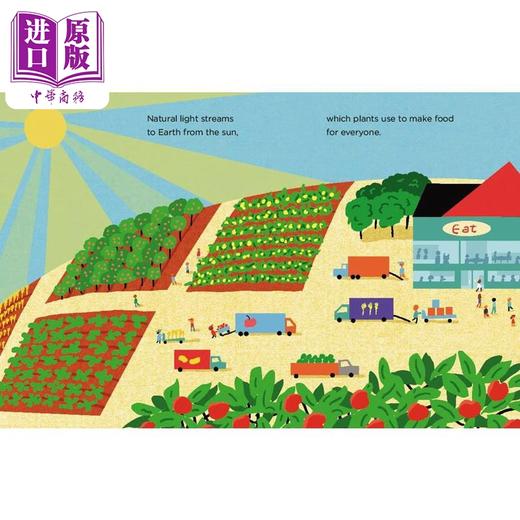 【中商原版】Spark, Shine, Glow! 闪耀的火花 英文原版 进口图书 儿童绘本 少儿知识图画书 自然科学童书 儿童读物 精装绘本 商品图4