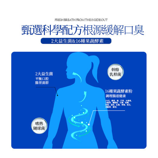 【口臭终结者】香港医学研究院薄荷菊花含片 调理脾胃口气清新 满口清香口臭救星 益生菌果蔬压片糖果30片/瓶 商品图3