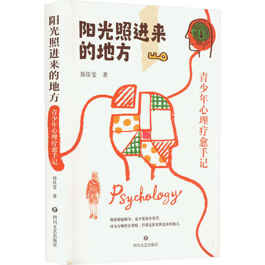 阳光照进来的地方 青少年心理疗愈手记四川文艺出版社郑佳雯9787541164651 商品图0