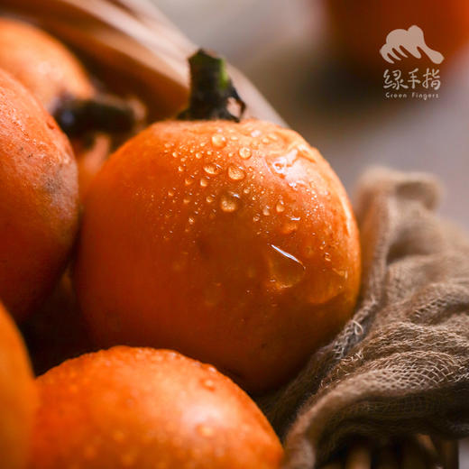 生态枇杷（四川） | 合作生产*Ecological loquat | Coproduction 商品图3