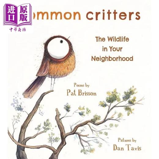 【中商原版】Dan Tavis:Common Critters 寻常小动物 英文原版 进口图书 儿童自然绘本 动物知识图画书 儿童科普读物 精装绘本 商品图0