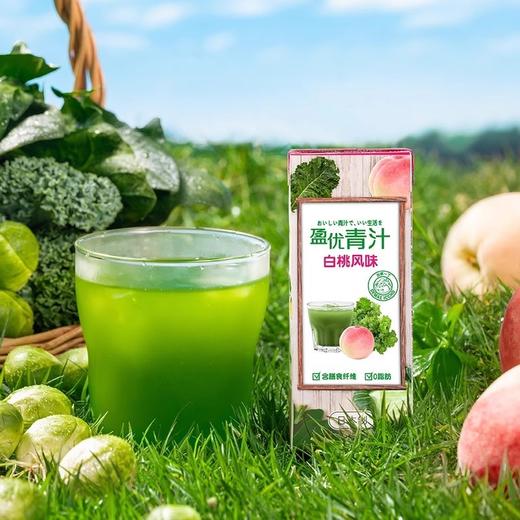 日本盈优青汁复合果蔬汁饮料白桃味200ml 商品图0