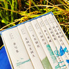 费孝通经典作品集（一函八种十二卷，理解中国社会的乡土底色，理解中国社会经济发展、崛起的底层逻辑与范式，探求中国文化与社会传统的现 商品缩略图3