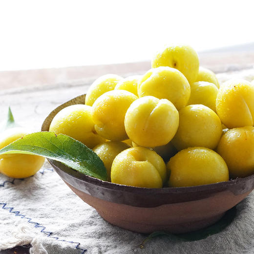 【预售】新疆轮台小白杏树梢上的“白色蜂蜜” 商品图0