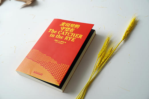 麦田里的守望者 商品图5
