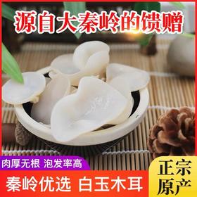 22℃商洛直播大赛 | 柞水木耳 干菌子白木耳玉木耳 150g
