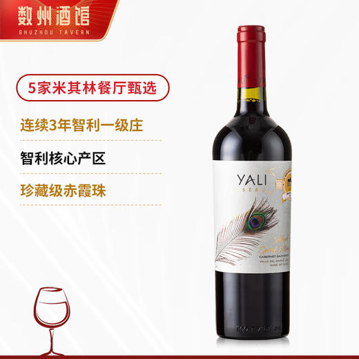 【连续六年智利一级庄】安第斯之翼赤霞珠红葡萄酒 智利 商品图10