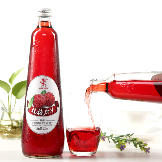聚仙庄 杨梅原汁 2瓶装 720ml*2 商品图3