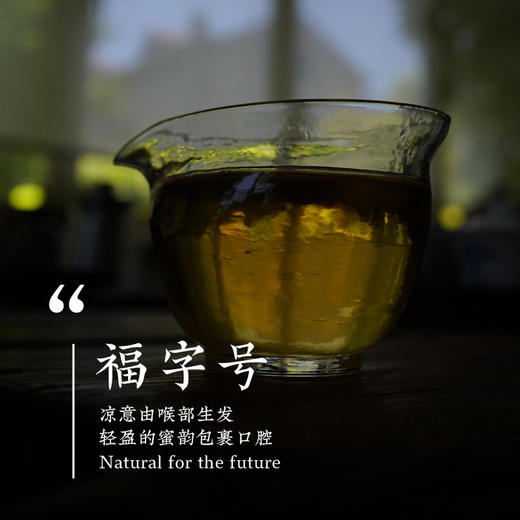 明前特级福字号白牡丹  太姥山北岩老基地出品 福鼎白茶白茶礼盒 商品图2