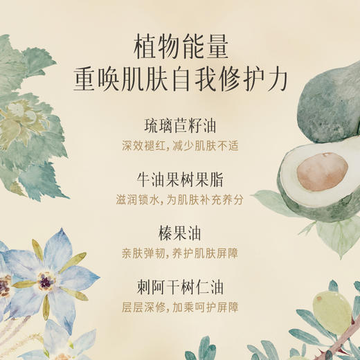 【滋润版】逐本不染十花植物修护菁萃面霜50g 商品图2