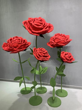 佳人玫瑰五件套（运费自理）