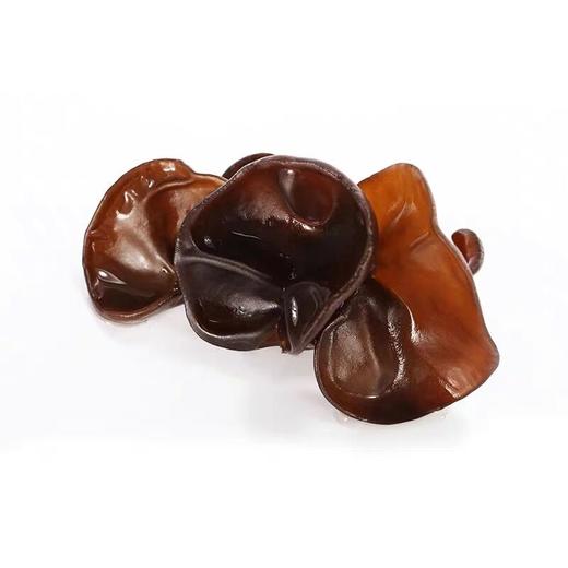 22℃商洛直播大赛 | 柞水木耳 干菌子黑木耳 150g 商品图3