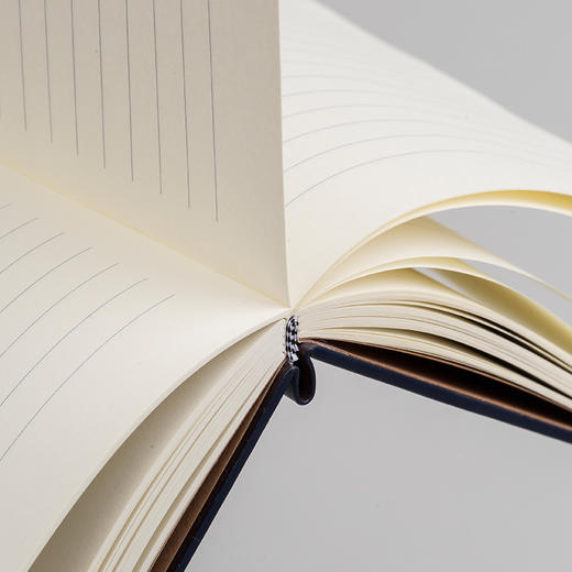 齐心皮面笔记本C5818  25K 160张 商品图3