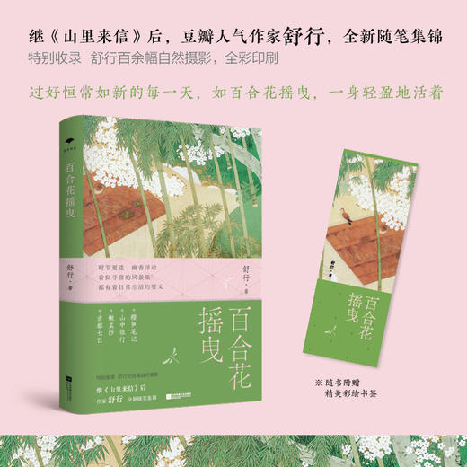 百合花摇曳（继山里来信后，豆瓣人气作家舒行，全新随笔集锦。过好恒常如新的每一天，如百合花摇曳，一身轻盈地去生活。特别收录：舒行近百幅自然摄影）(舒行) 商品图1