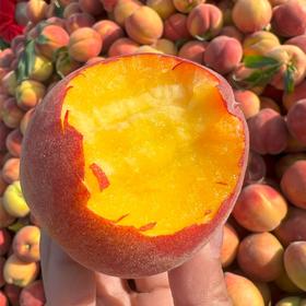 【湖北好物】彩虹蜜1号蜜桃4.5-5斤