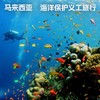 马来西亚·海龟保育义工旅行｜拒绝内耗，9天8晚在与世隔绝的海岛，与科学家一起投身海龟保育 商品缩略图1