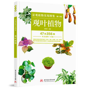 景观植物实用图鉴（第5辑）：观叶植物  9787568041126  华中科技大学出版社