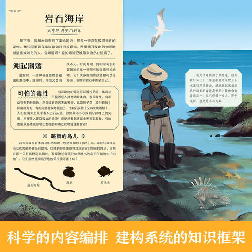 光里游世界 海洋奇境寻踪之旅 4-7岁 卡米拉·德拉·贝杜瓦耶尔 著 科普百科 商品图3