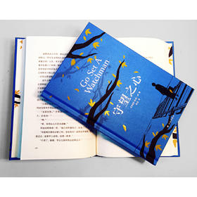 杀死一只知更鸟II：守望之心