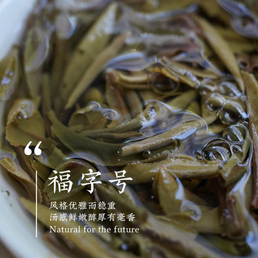 明前特级福字号白牡丹  太姥山北岩老基地出品 福鼎白茶白茶礼盒 商品图1