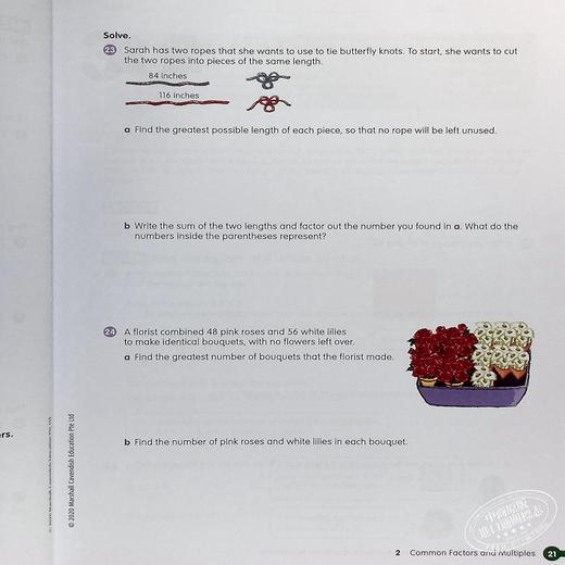 【中商原版】Math in Focus Grade 6A 焦点数学 六年级上册套装 学生书+课外练习作业本 英文原版 美国HMH教材 小学新加坡数学 商品图5