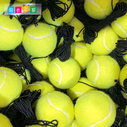 网球——体能 商品图2