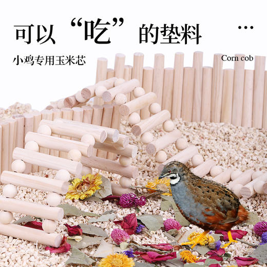 夏季仓鼠卢丁鸡玉米芯垫料 饲养用品 无尘除臭造景用品 商品图1