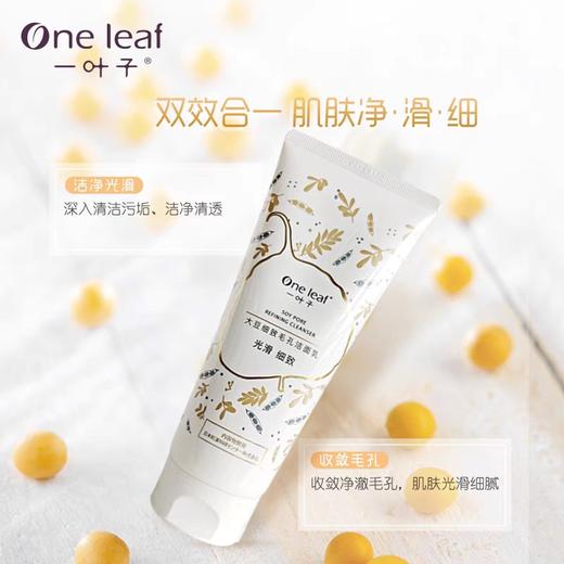 一叶子红石榴/大豆洁面135g 商品图2