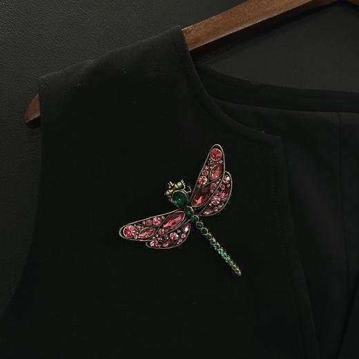 甄选·中古风 重工精制 蜻蜓胸针 商品图7