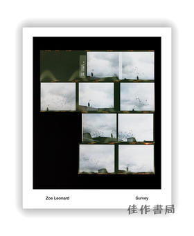 Zoe Leonard: Survey / 佐伊·伦纳德：调查