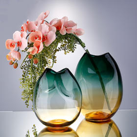 炫彩渐变- 北欧透明玻璃花瓶-- 双色球