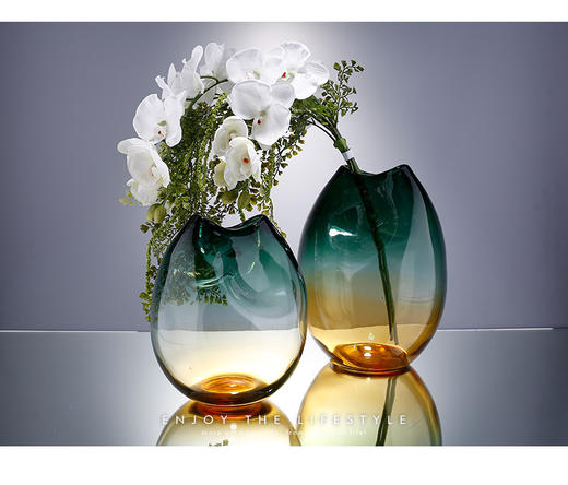 炫彩渐变- 北欧透明玻璃花瓶-- 双色球 商品图2