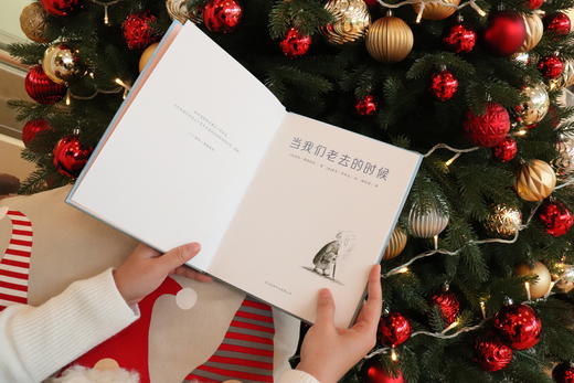 当我们老去的时候 商品图1