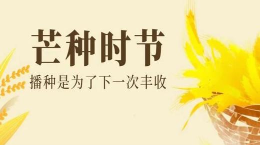 会员服务：0617周六早一点甜 商品图0