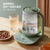 艾贝丽 Abereve 养生壶 ABL-YSH011 浅绿色 商品缩略图1