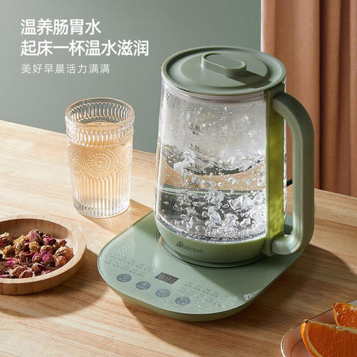 艾贝丽 Abereve 养生壶 ABL-YSH011 浅绿色 商品图1