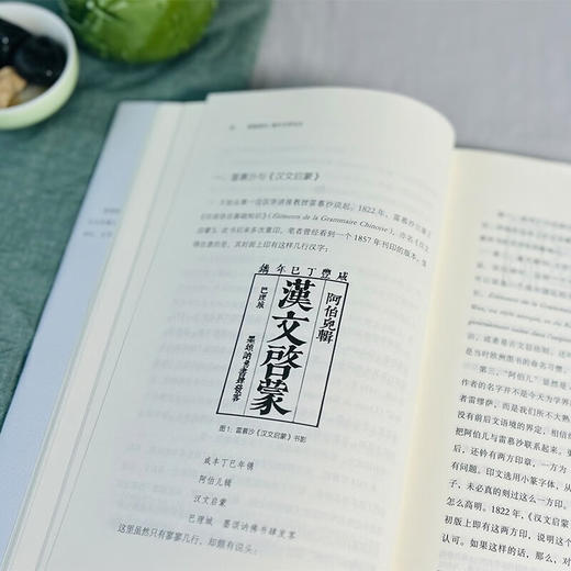 凿壁借光：海外汉学论丛 程章灿 著 商务印书馆 商品图3