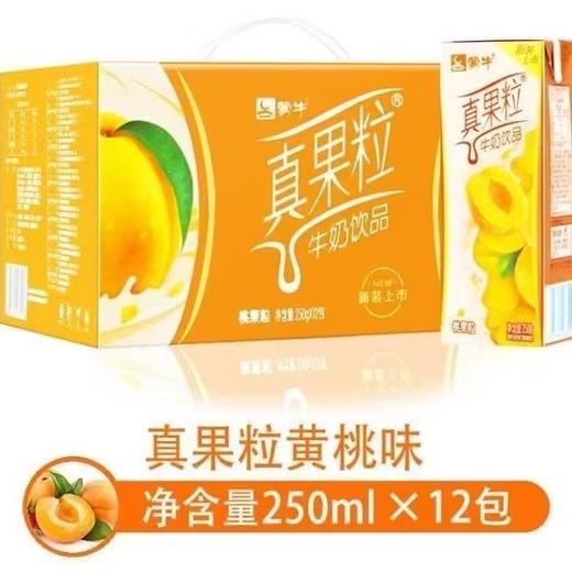 下单即享9折/会员88折起 蒙牛真果粒牛奶饮品 250g*12礼盒装1月生产 商品图4