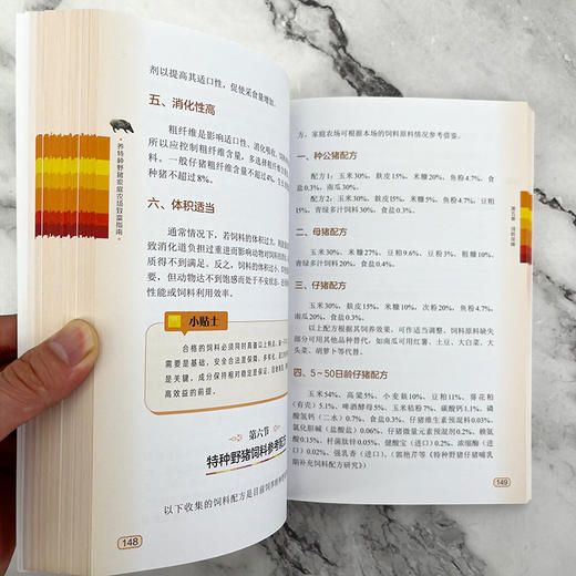 养特种野猪家庭农场致富指南 商品图9