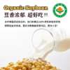 内蒙古产有机黄豆 商品缩略图1