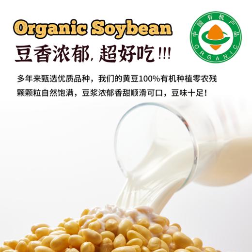 内蒙古产有机黄豆 商品图1